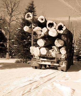 logging truck with logs driving through snow