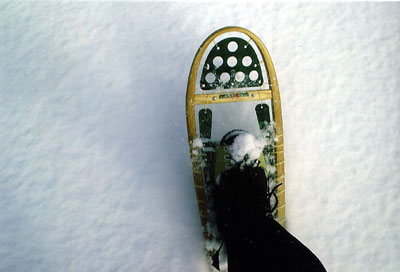 foot in snowshoe walking on snow