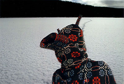 figure in hood with antlers on frozen lake