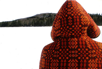 figure in orange hood on frozen lake, seen from behind