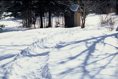 path through snow to toilet block amongst trees