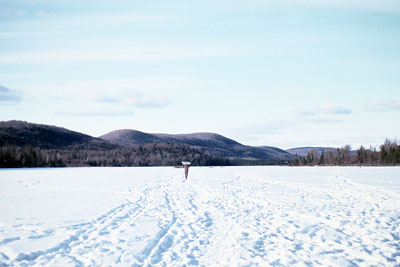 figure in far distance on frozen lake, with forest in background