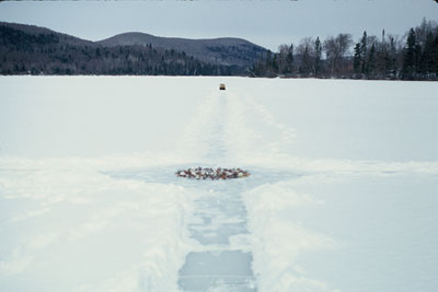cruciform installation on frozen lake including a range of natural materials