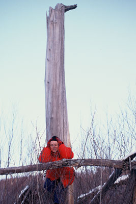 tourangeau in red against a background of bare trees